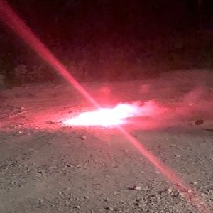 Meet your Posher, Daisy